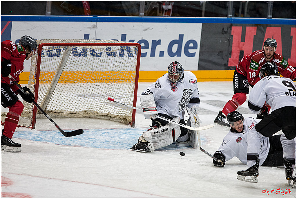 Koelner Haie - Nuernberger Ice Tiger, 04.12.2016